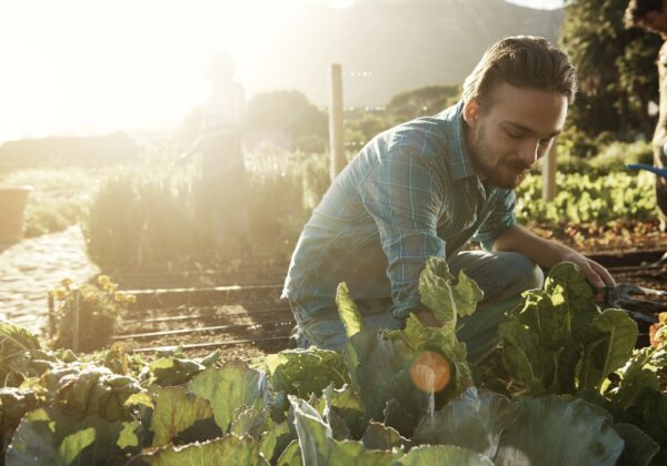 movimiento slow food