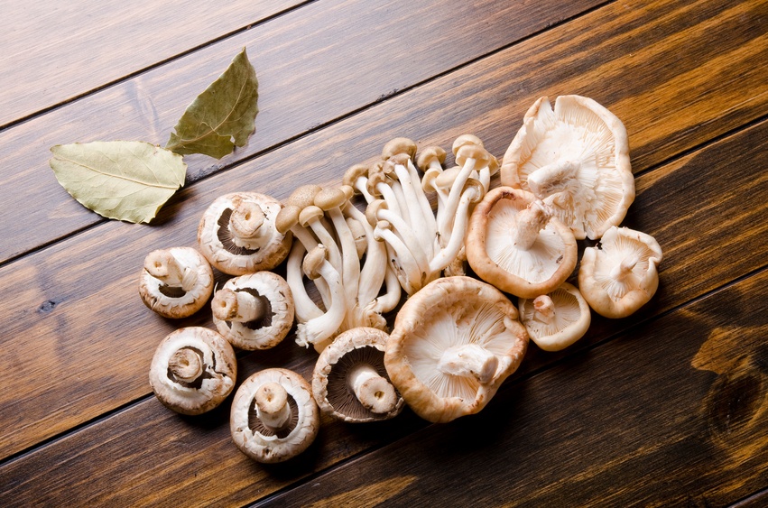 different types of edible mushrooms on wooden table.Brown beech mushrooms, Shimeji mushroom, baby bella Edible mushroom
