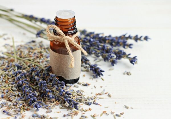 aceites vegetales