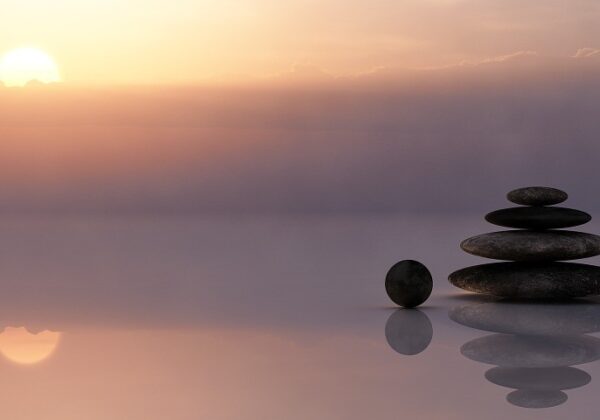 Wellness spa hote: que es
