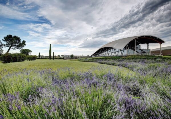 Designing for Wellbeing