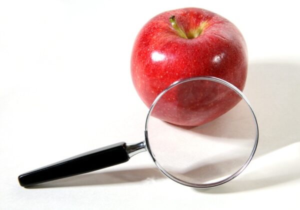 La Nutrición bajo Lupa – Parte I
