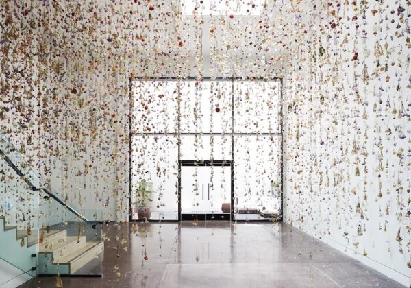 Rebecca Louise Law