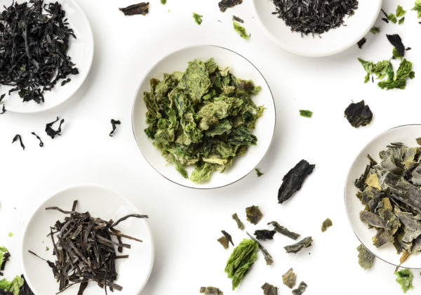 Properties of seaweed and how to include it in your diet