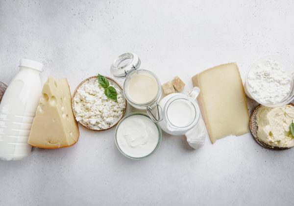 Why milk and dairy products should not be part of a healthy diet