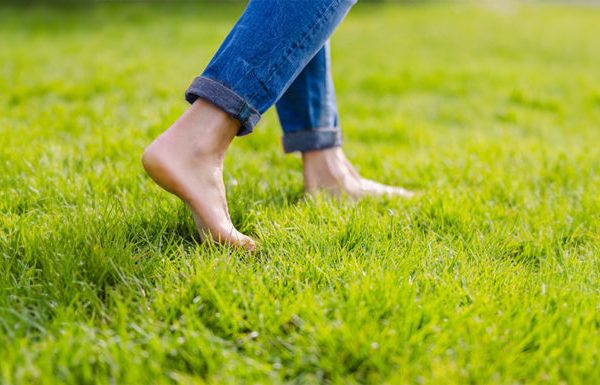 Grounding: the art of walking barefoot on the ground