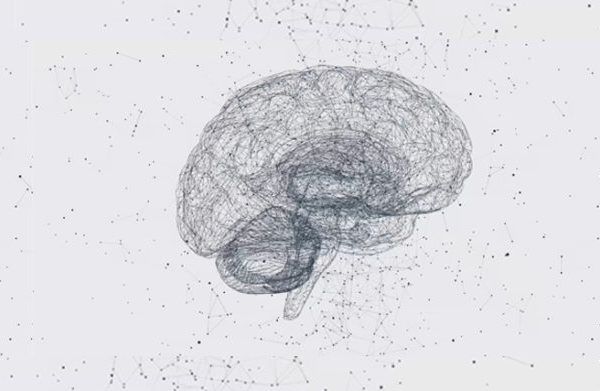 Mouldable brain: the science behind neuroplasticity