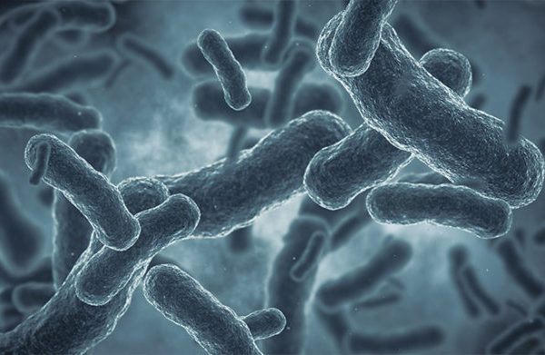 Intestinal dysbiosis: the effects of microbial imbalance