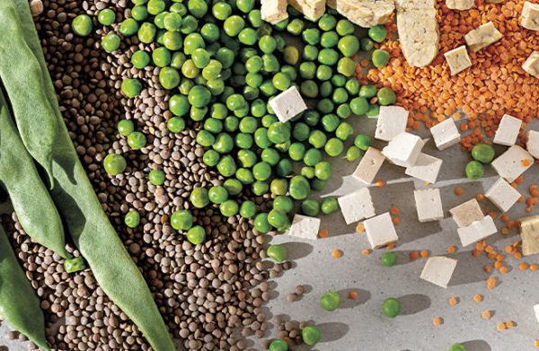 Vegetable protein? Is it as beneficial as that of animal origin?