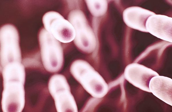 Symbiotics, postbiotics and psychobiotics: what are their benefits?