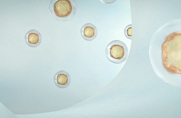 Cellular repair: the ultimate ally of deep sleep