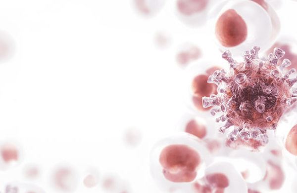 What weakens the immune system? Factors and preventive solutions