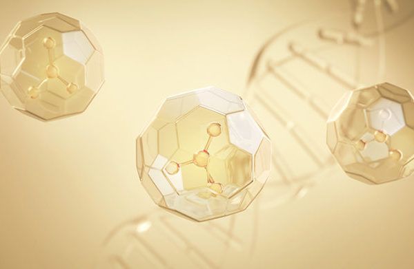 What are sirtuins and how do they influence the way we age?