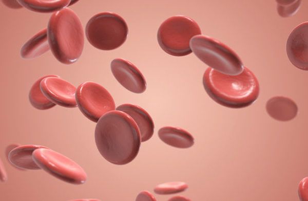 Specialised therapies for blood purification