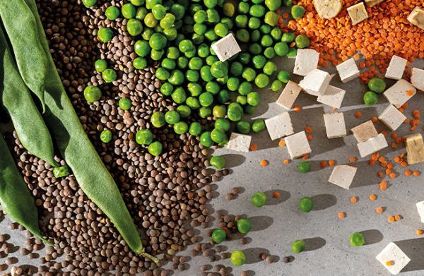 Diet – a great ally in overcoming infertility problems