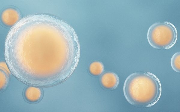 What is the Relationship Between Allergies and Gut Health?