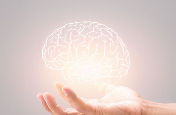 What is brain neuroplasticity?