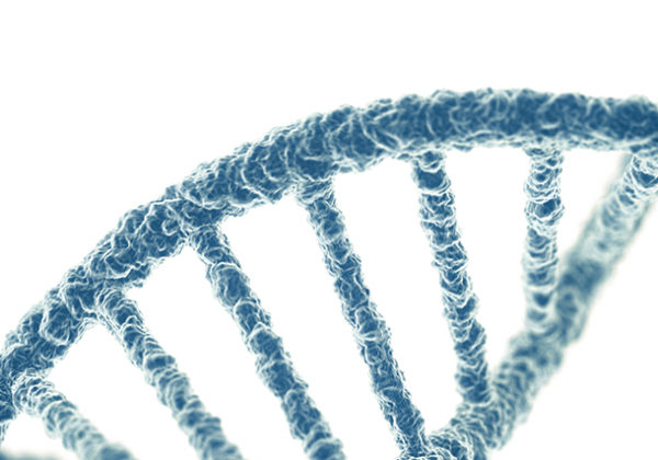 Whole Genome Sequencing: The Scientific Foundation for Personalized, Preventive Health