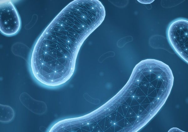 The Microbiome: A Biomarker of Longevity