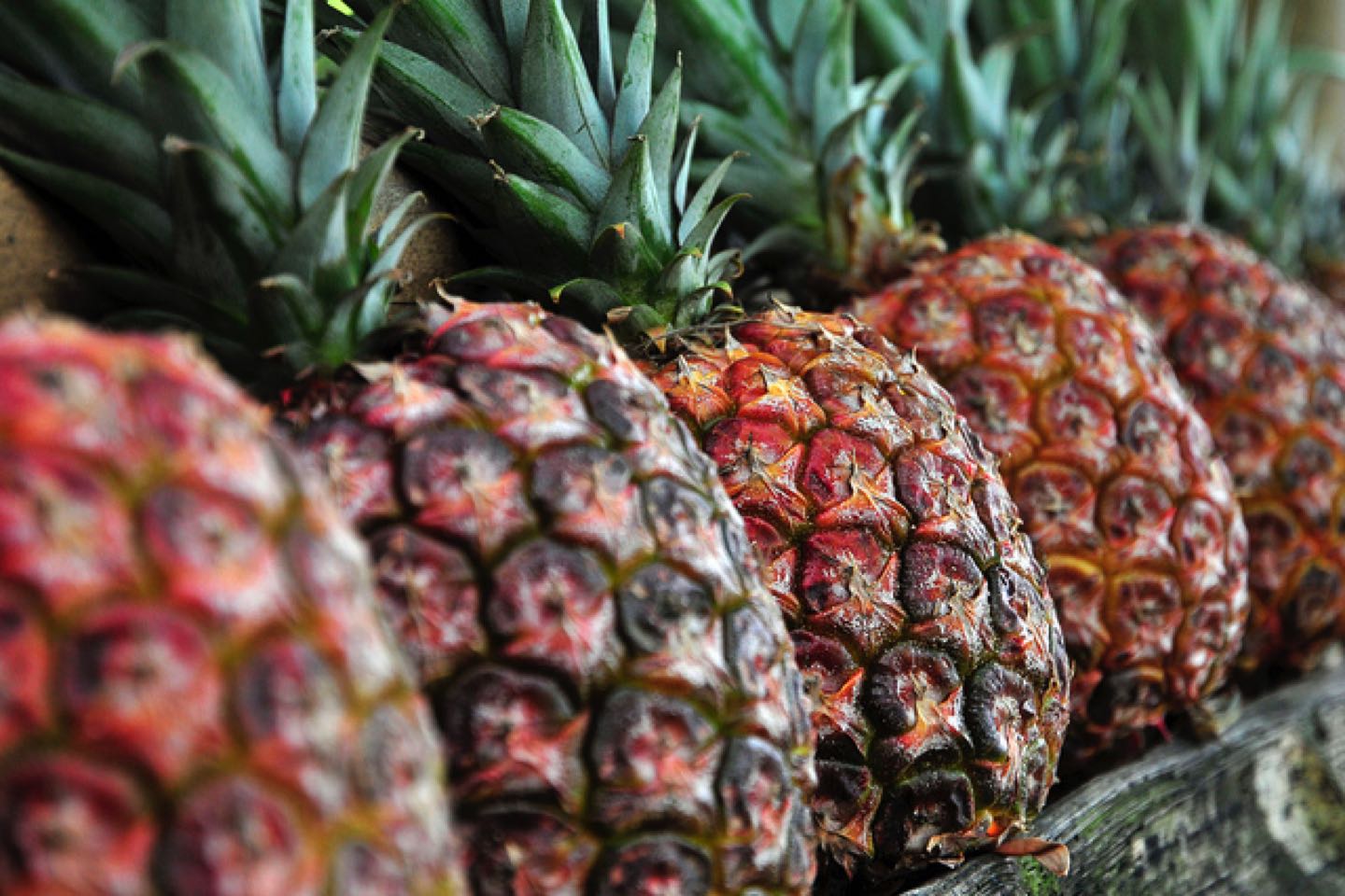 Piñas Comer piña para conseguir un vientre plano