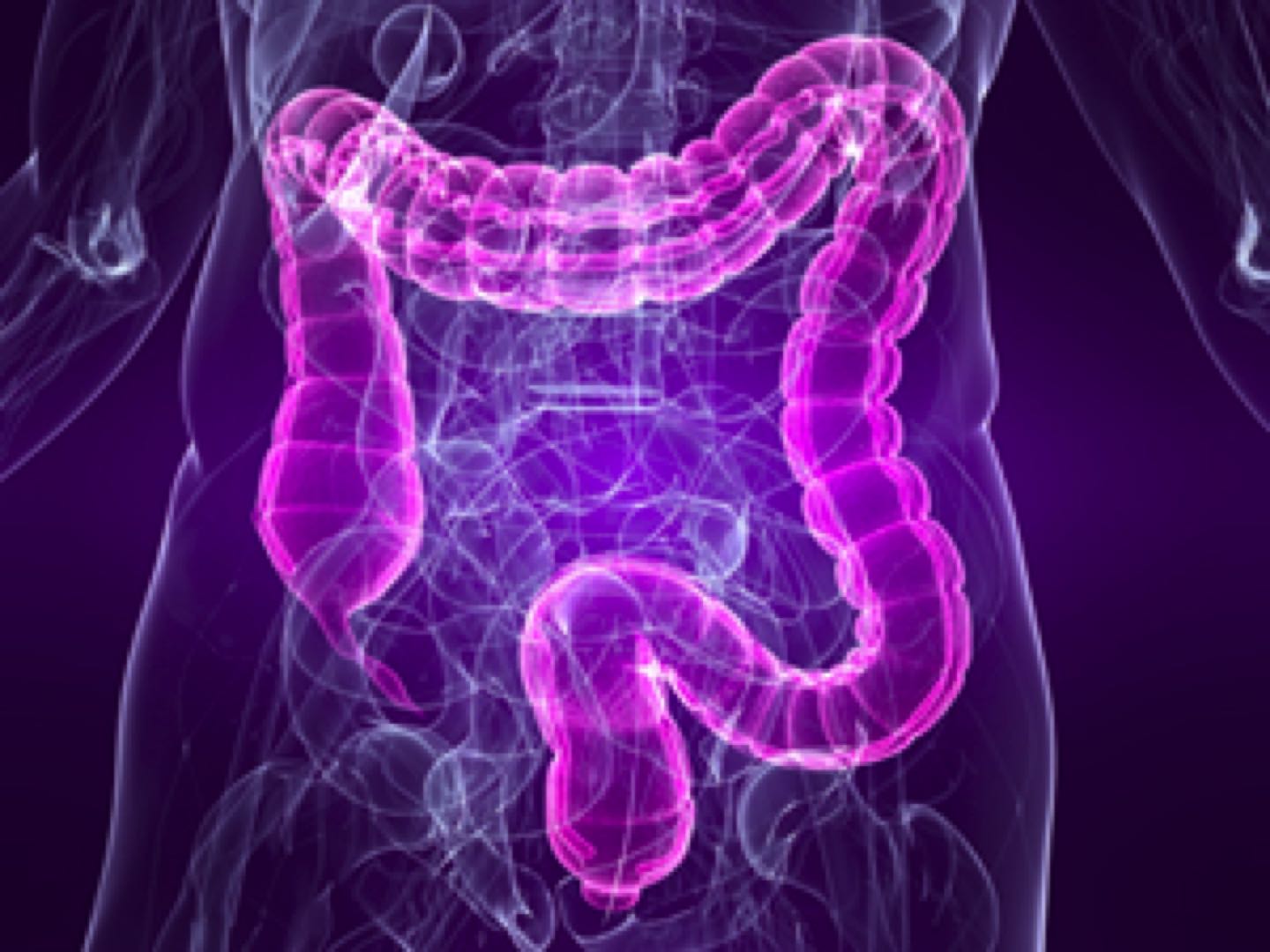 Limpieza intestinal con la hidroterapia de colon Limpieza de colon con hidroterapia