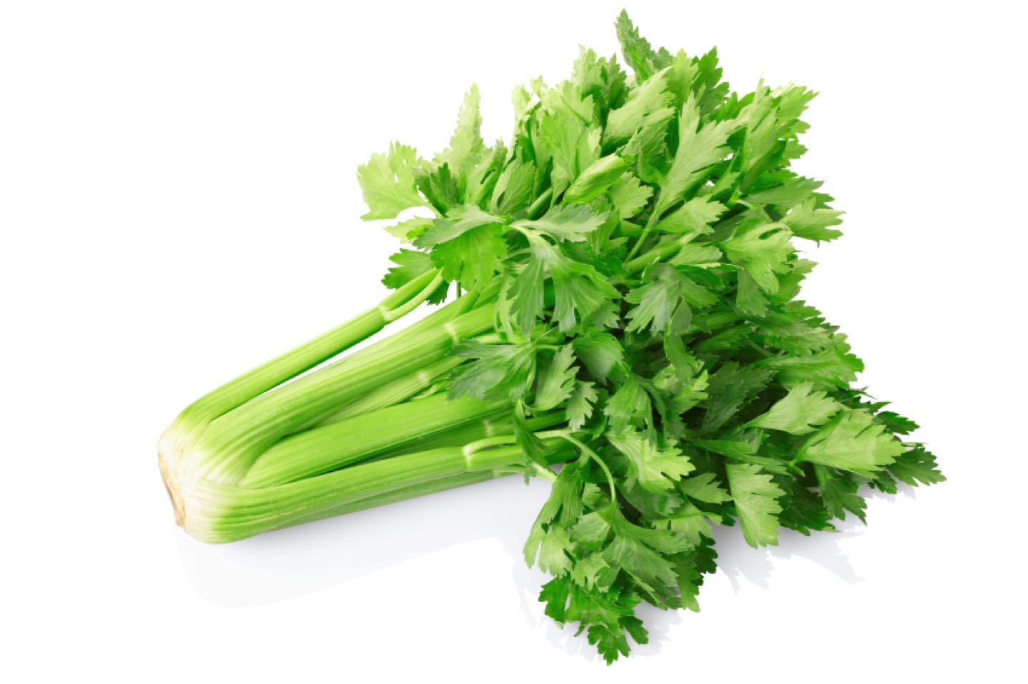 iStock_000017222950Small
