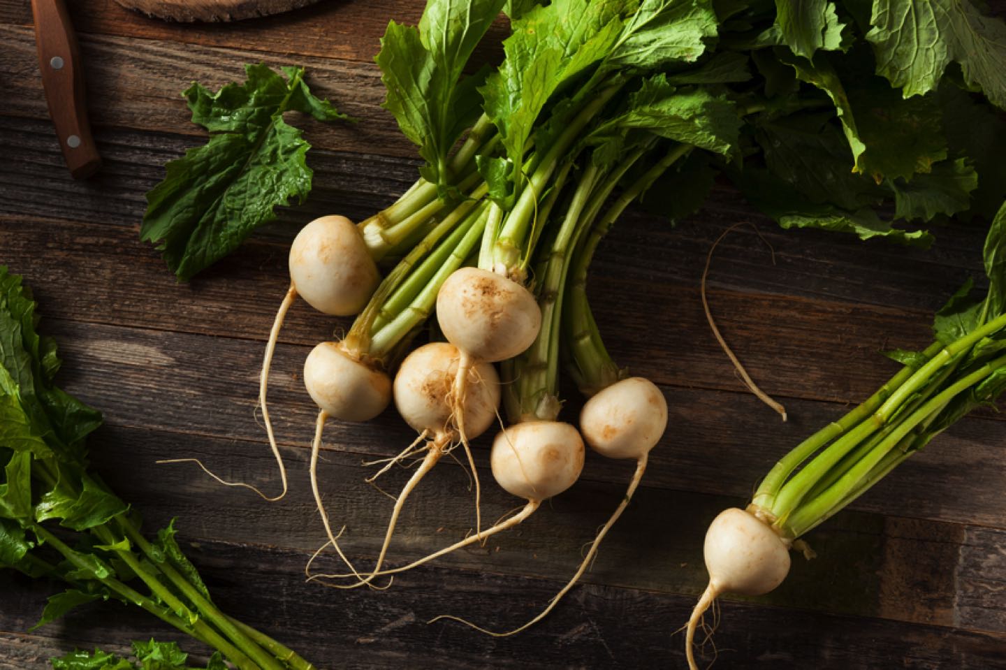 Raw Organic White Radishes with Green Stems
