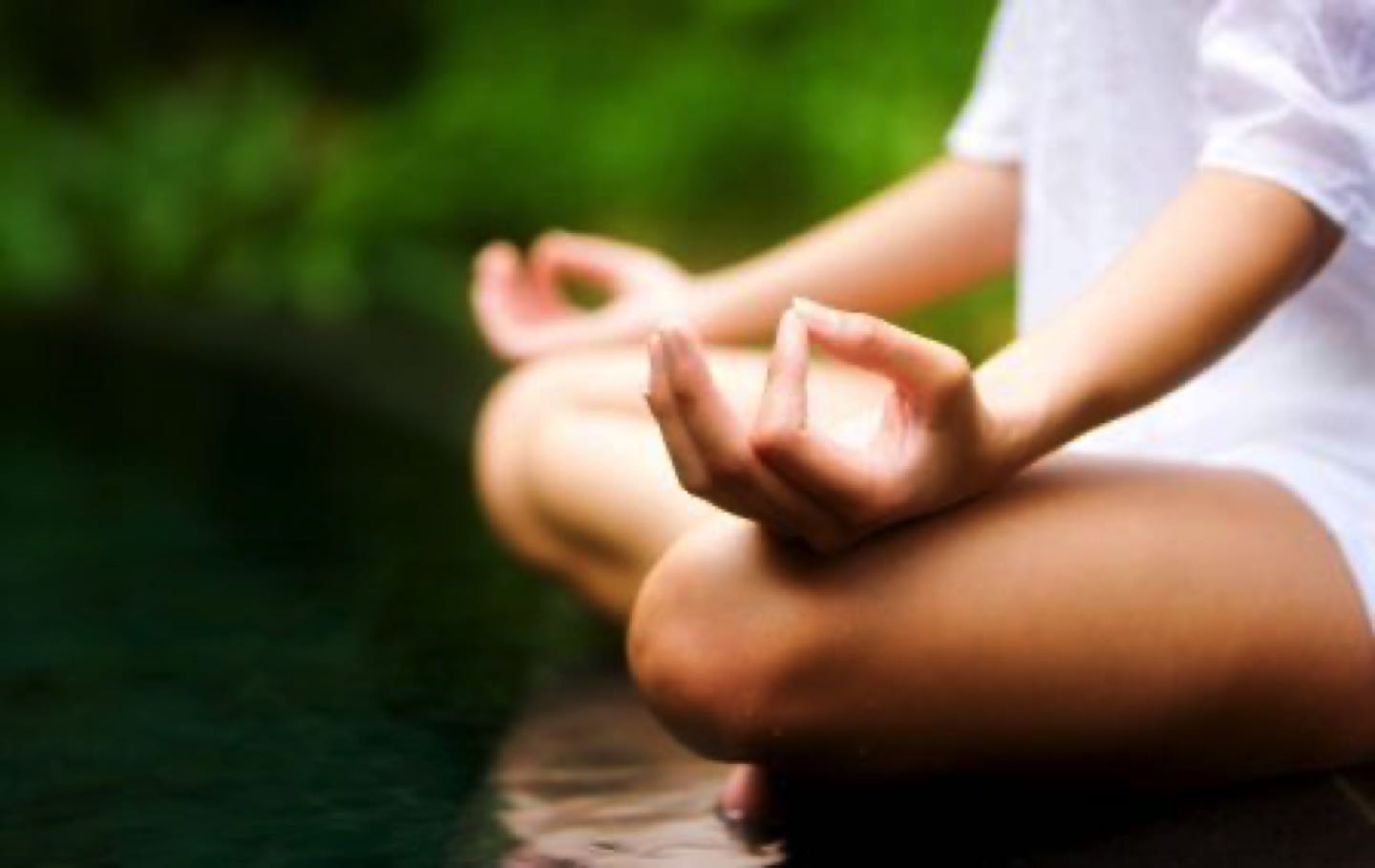 meditar cada dia
