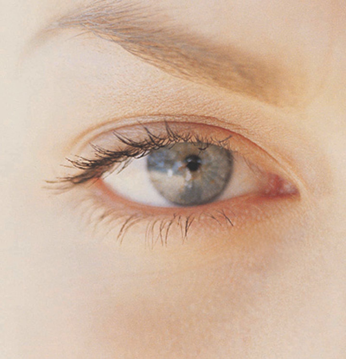 Suplementos alimenticios SHA para el cerebro, corazón y ojos