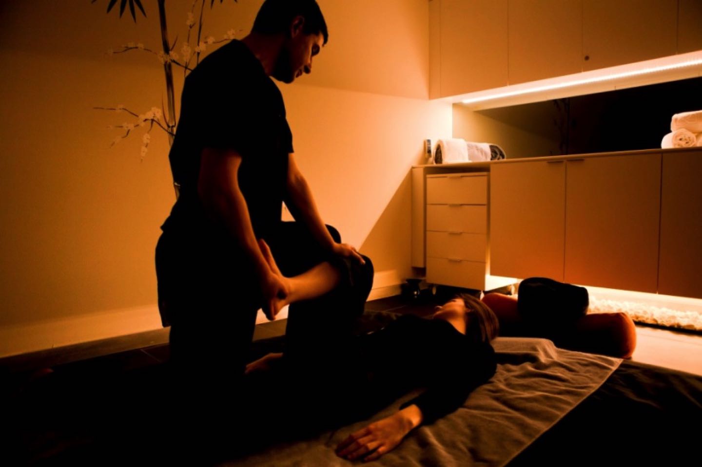 shiatsu homedics